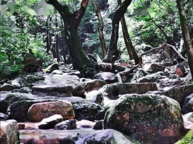 聚焦养老服务人才队伍建设,山东在三方面持续加力